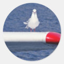 Search for sea birds stickers Gull