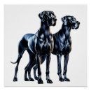 Search for dane posters Dog breeds