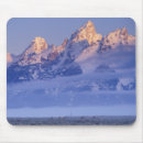 Search for grand teton national park mousepads Wildlife