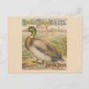 Search for vintage new orleans postcards Travel