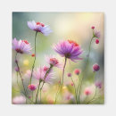 Search for pretty magnets Summer