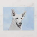 Search for white german shepherd postcards Puppy
