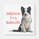 Search for bordered magnets For her