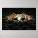 Search for disk posters Universe