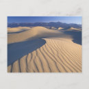 Search for califorinia Sandy