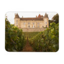 Search for mediaeval magnets Castle