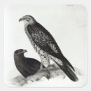 Search for prey stickers Bird