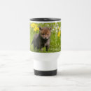 Search for baby fox mugs Wildlife