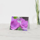 Search for hydrangea cards Garden