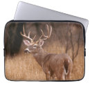 Search for rack electronics Antlers