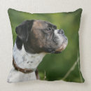 Search for boxer dog cushions Profile