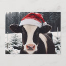 Search for dairy cow postcards Cute