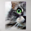Search for ally posters Cat