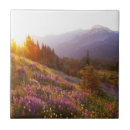 Search for purity tiles Beauty