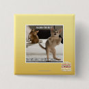 Search for raptor badges I can has cheezburger