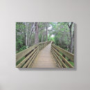 Search for boardwalk art Nature