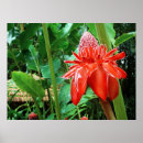 Search for exotic posters Green