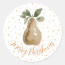 Search for pears stickers Watercolor