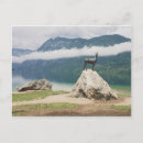 Search for slovenia postcards Photography