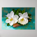 Search for magnolia posters Bloom