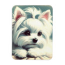 Search for maltese magnets Dogs