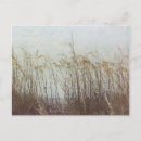 Search for through postcards Coastal