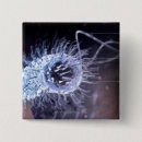 Search for bacterium badges View