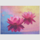 Search for lotus flower tissue paper Meditation