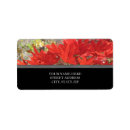 Search for fall tree return address labels Trees