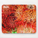 Search for nature lover electronics For him