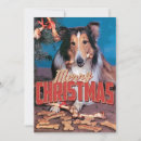Search for border collies invitations Herding
