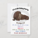 Search for walrus invitations North pole