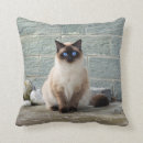Search for siamese cat cushions Pet