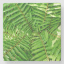 Search for green fern coasters Forest