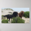 Search for corolla posters Horses