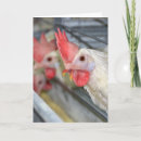 Search for caged cards Chicken