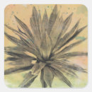 Search for desert stickers Plants