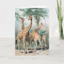 Search for giraffe photo cards Giraffes