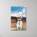 Search for mouth open art Horse