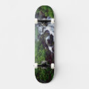 Search for creeks skateboards Waterfall
