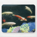 Search for freshwater mousepads Animal