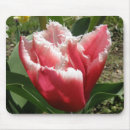 Search for pink tulip mousepads Floral