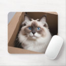 Search for blue box electronics Funny