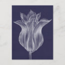 Search for monochrome postcards Florals