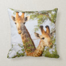 Search for south africa cushions Animals