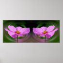 Search for single flower posters Nature