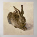 Search for hare posters Rabbit