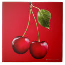 Search for cherry photography Simplicity