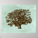 Search for botanical posters Tree