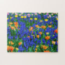 Search for hyacinth puzzles Colourful